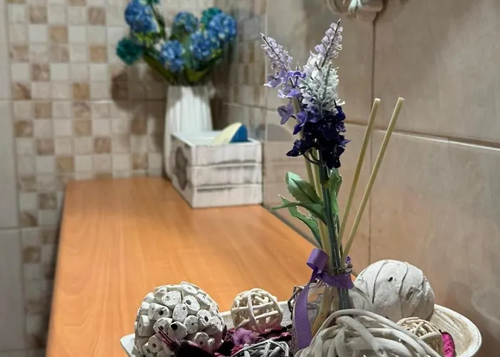 Alleyhouse 83 펜션 클레마스티